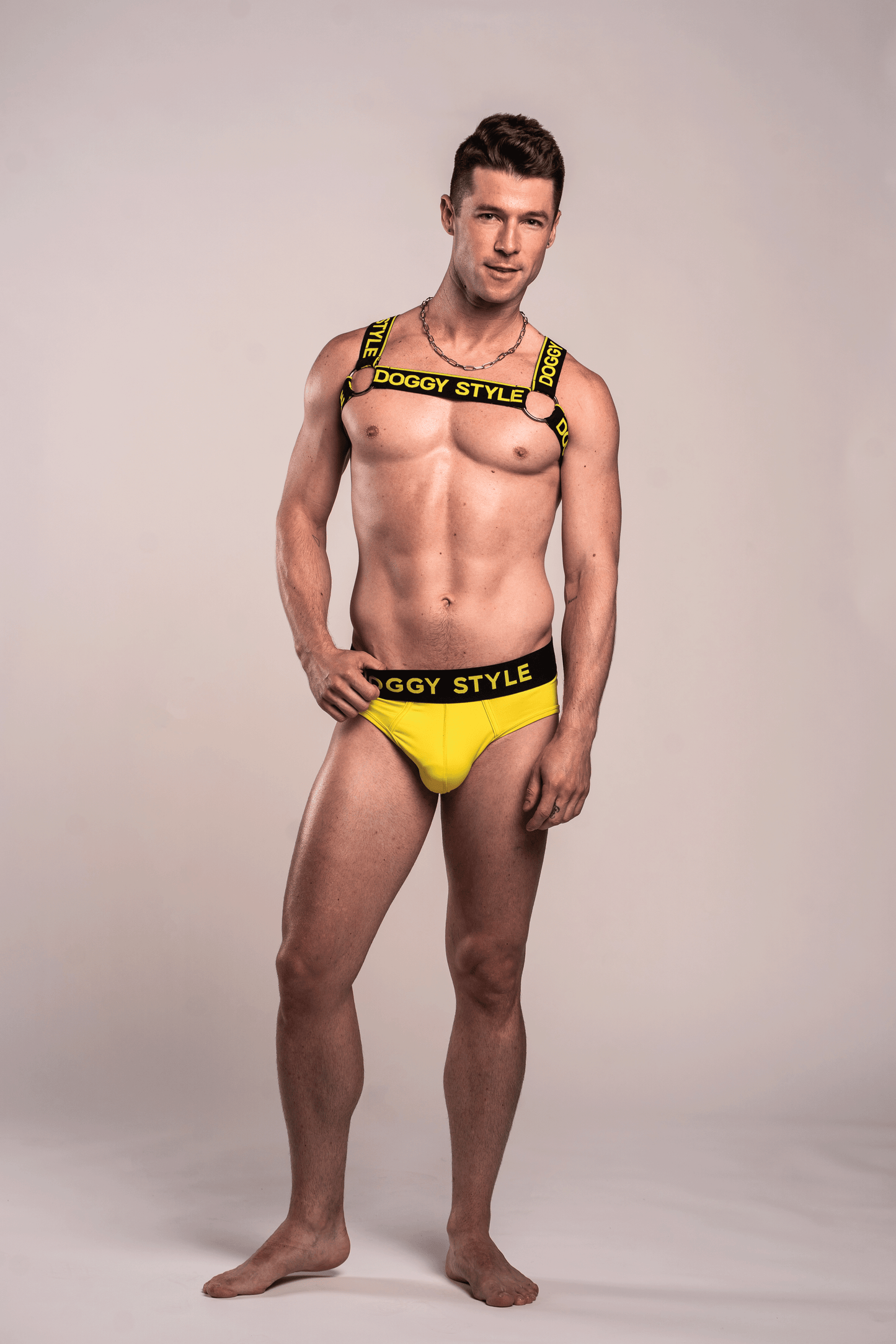 Blazing Yellow Logo Harness